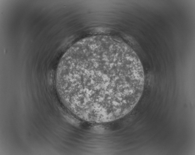 X0000080790423200701122153