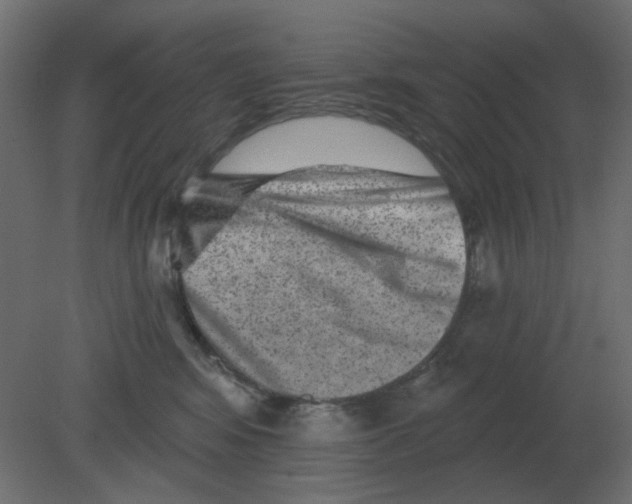 X0000080790424200701122153