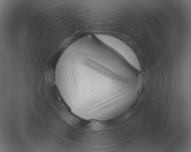 X0000080790425200701122153