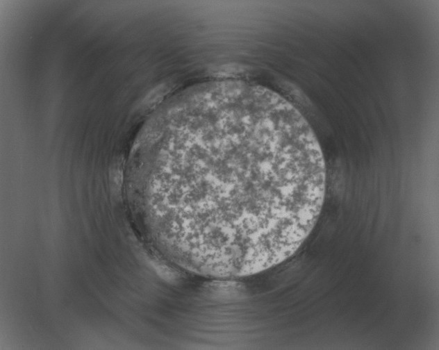 X0000080790427200701122153