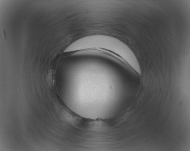 X0000080790428200701122153