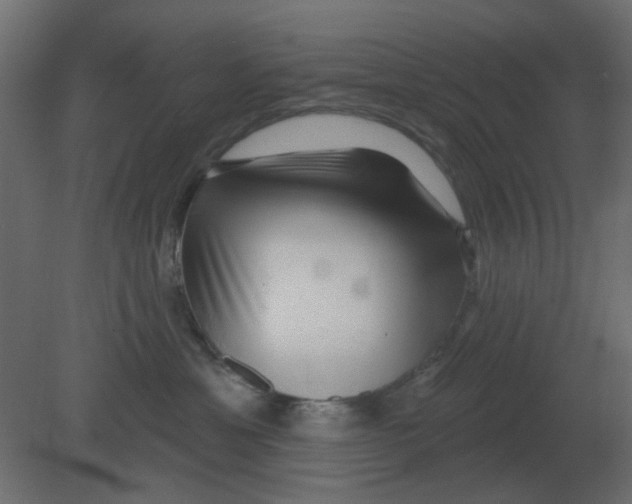 X0000080790429200701122152