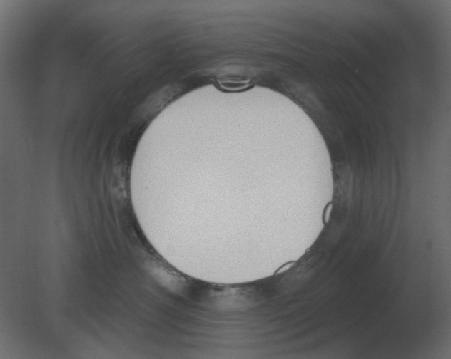 X0000080790430200701122152