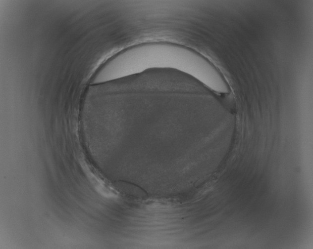 X0000080790434200701122152