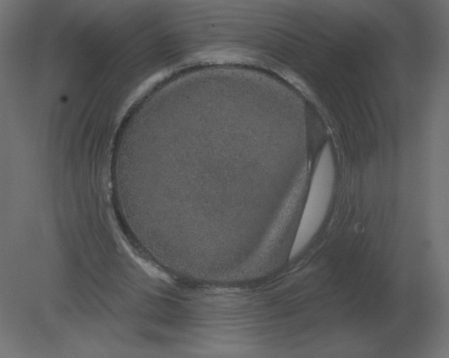 X0000080790438200701122152