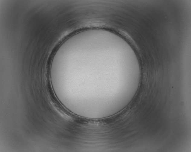 X0000080790439200701122152