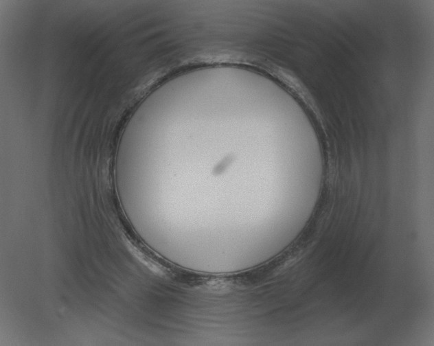 X0000080790441200701122152