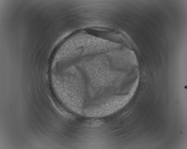 X0000080790443200701122152