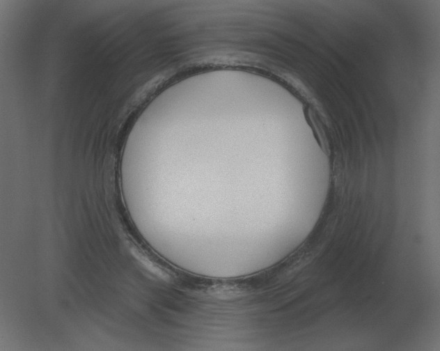 X0000080790445200701122152