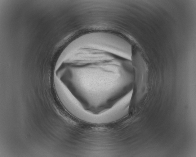 X0000080790446200701122152