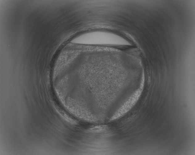 X0000080790447200701122152