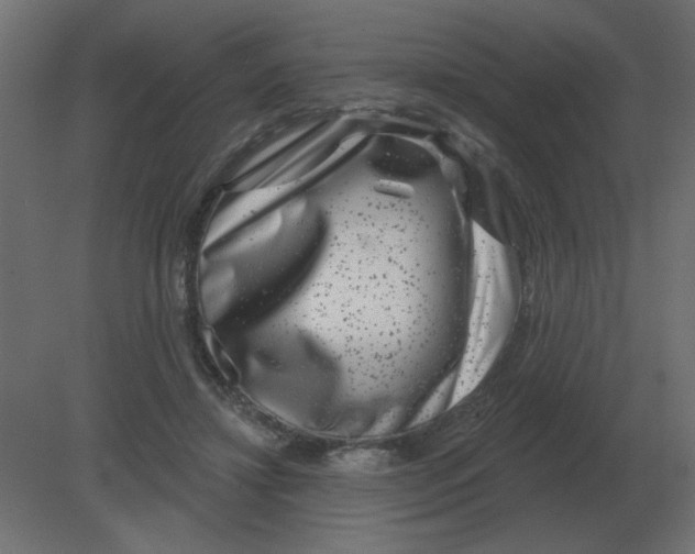 X0000080790452200701122152