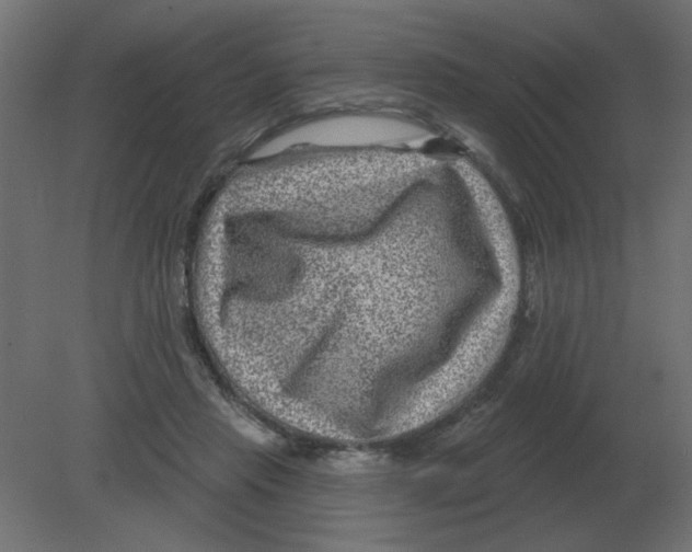 X0000080790453200701122152