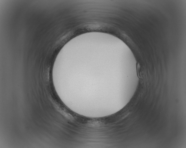 X0000080790454200701122152