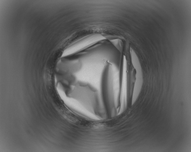 X0000080790456200701122152