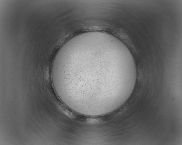 X0000080790457200701122152