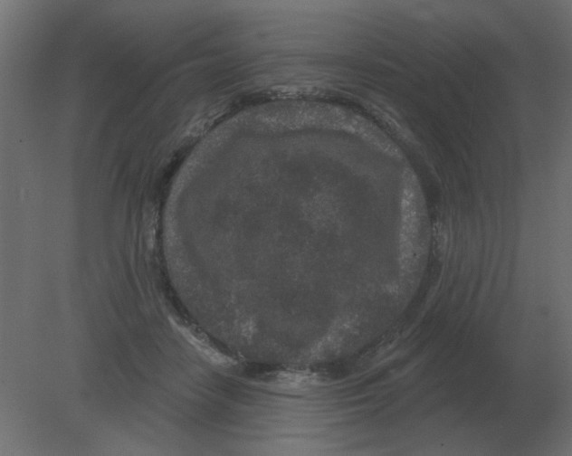 X0000080790458200701122152