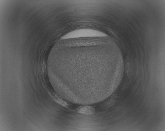 X0000080790459200701122152