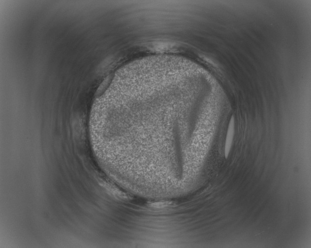 X0000080790461200701122152