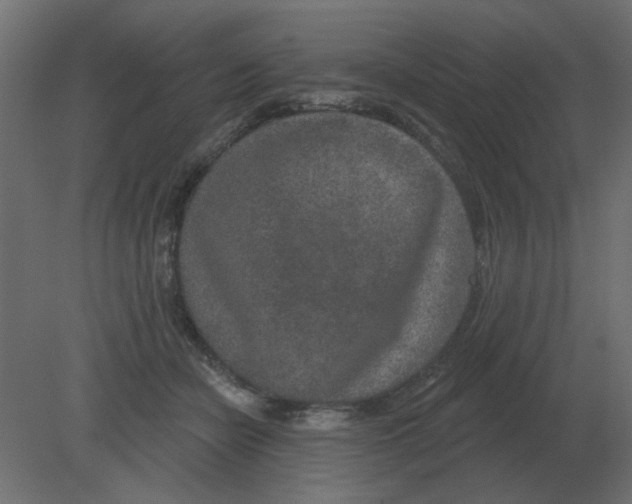 X0000080790462200701122152