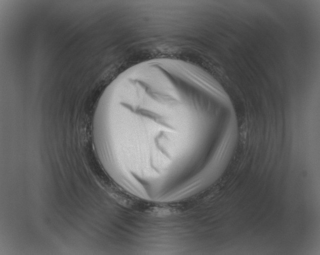 X0000080790464200701122152