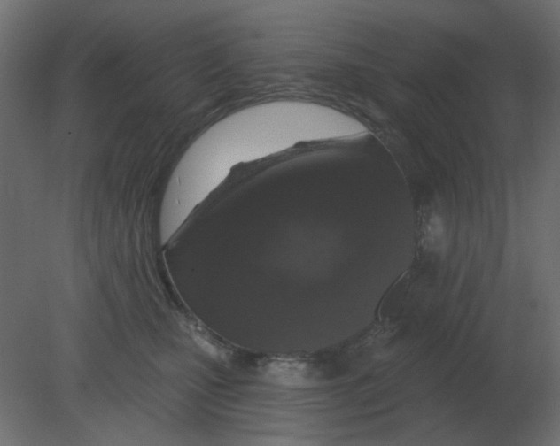 X0000080790471200701122152