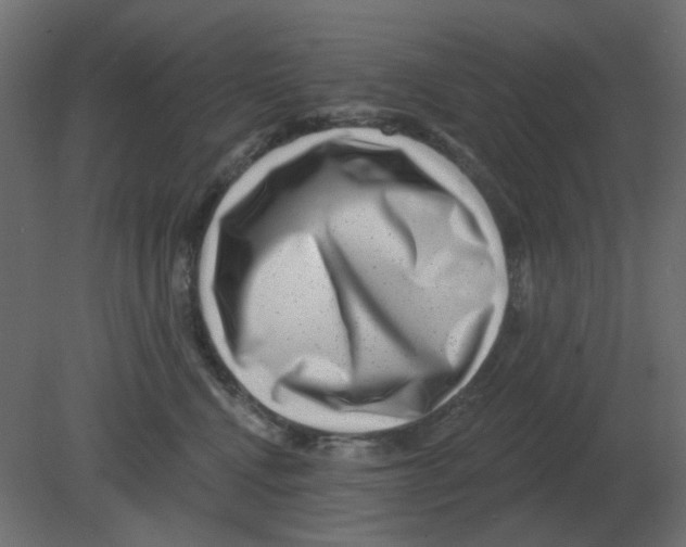 X0000080790472200701122152