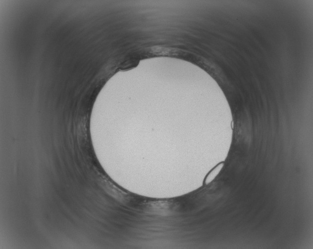 X0000080790473200701122152