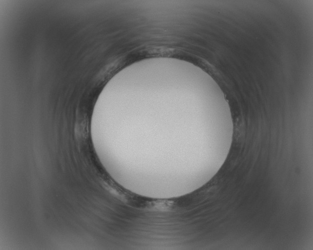 X0000080790474200701122152