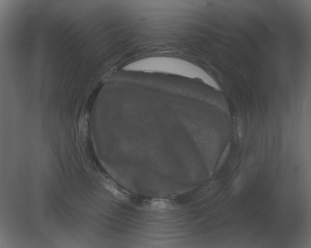 X0000080790475200701122152