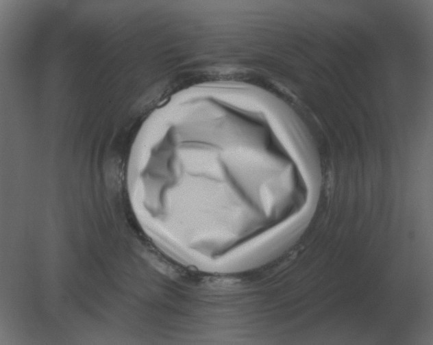 X0000080790476200701122152