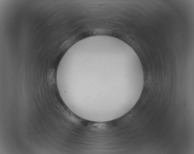 X0000080790478200701122152