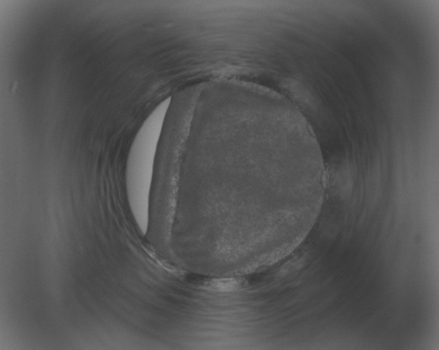 X0000080790479200701122152