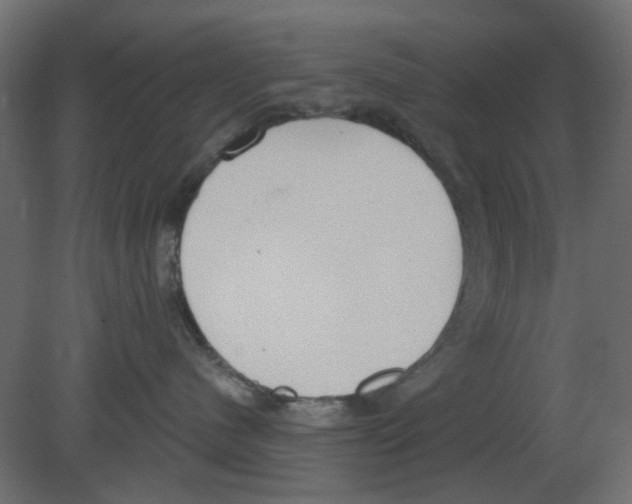 X0000080790480200701122152