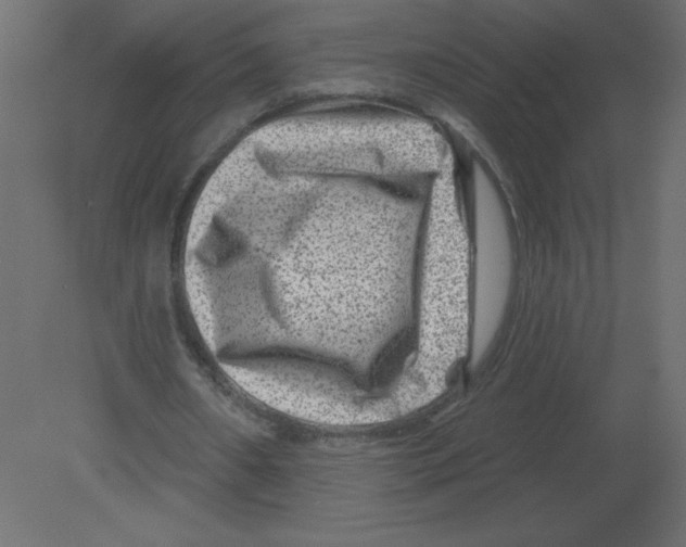 X0000080790482200701122152