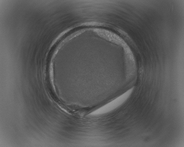 X0000080790484200701122152