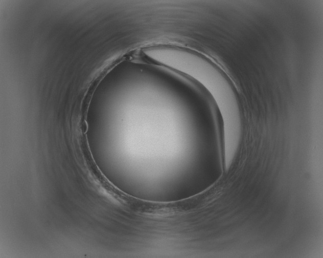 X0000080790485200701122152