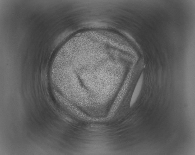 X0000080790487200701122152