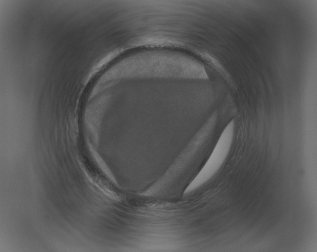 X0000080790488200701122151