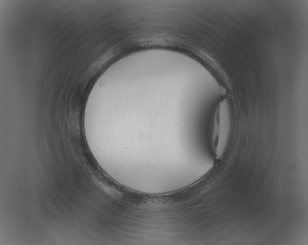 X0000080790489200701122151