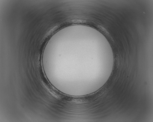 X0000080790490200701122151