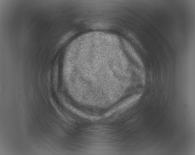 X0000080790491200701122151