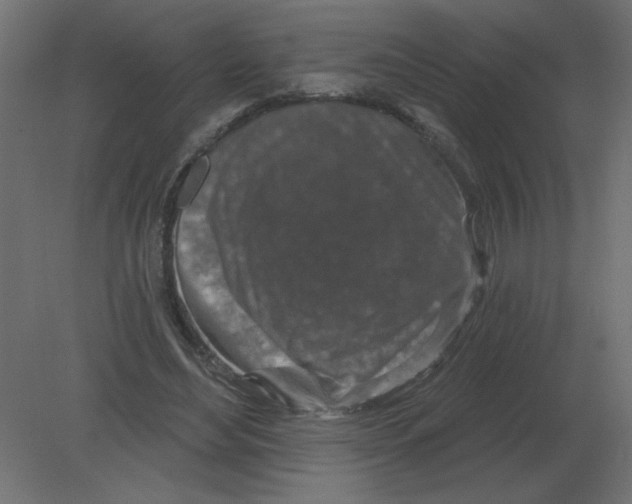 X0000080790492200701122151