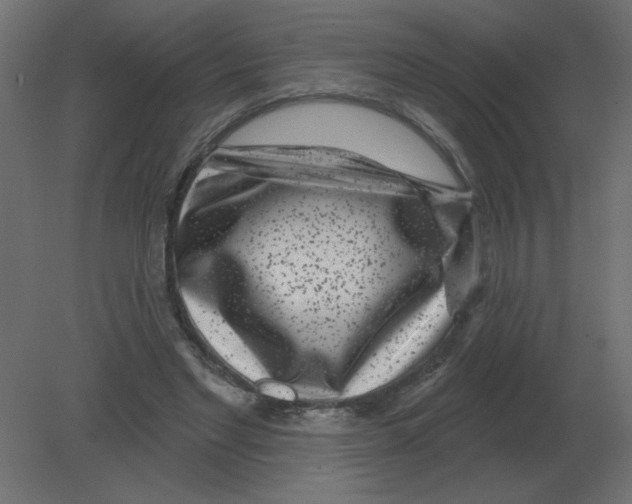 X0000080790493200701122151