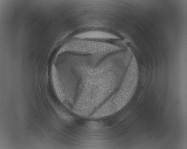 X0000080790494200701122151