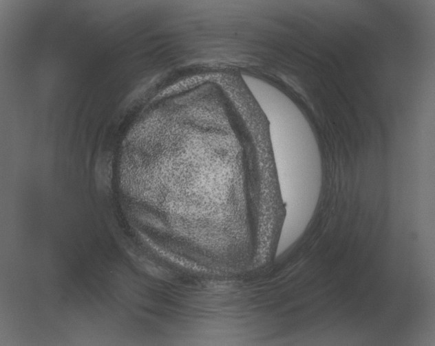 X0000080790495200701122151