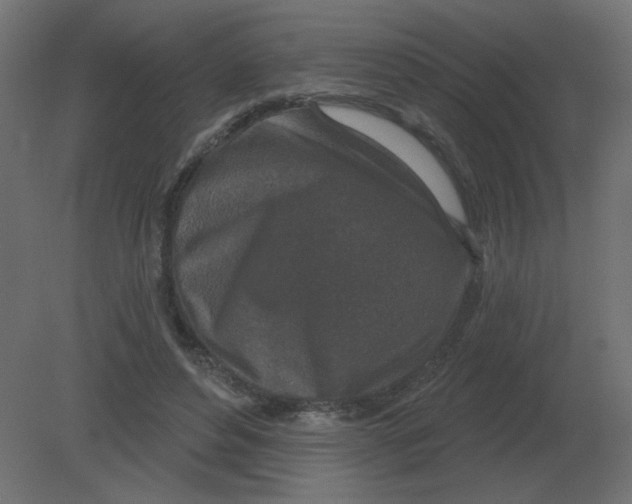 X0000080790496200701122151