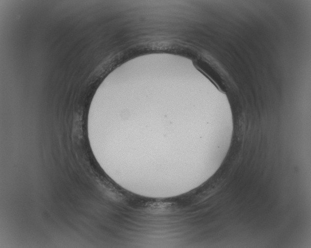 X0000080790497200701122151