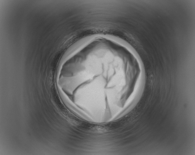 X0000080790498200701122151