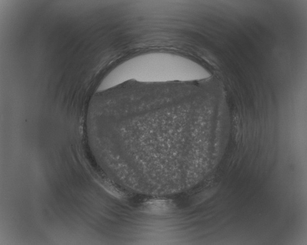 X0000080790499200701122151